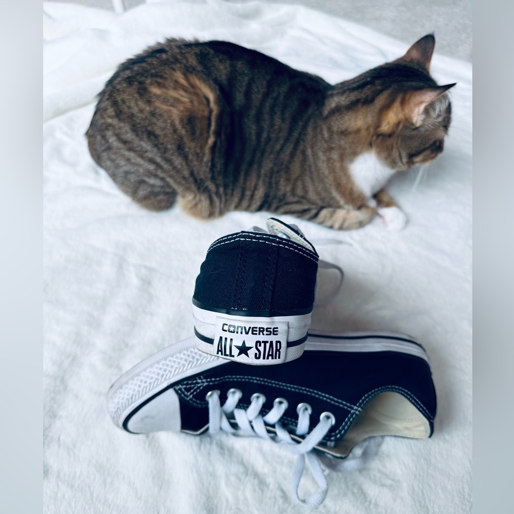 Converse Women’s Classic Blue and White Sneakers